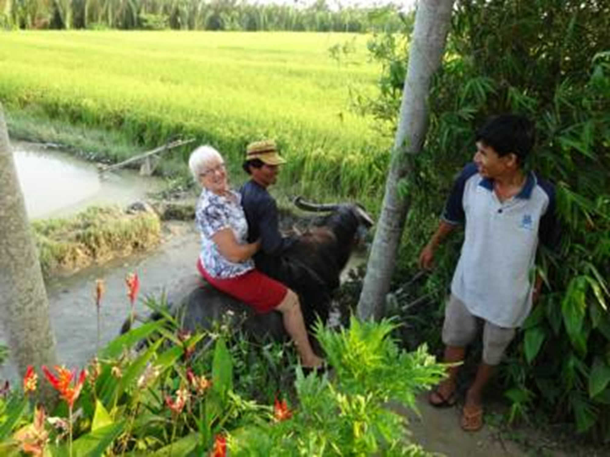 Hoi An Life Villa Buitenkant foto